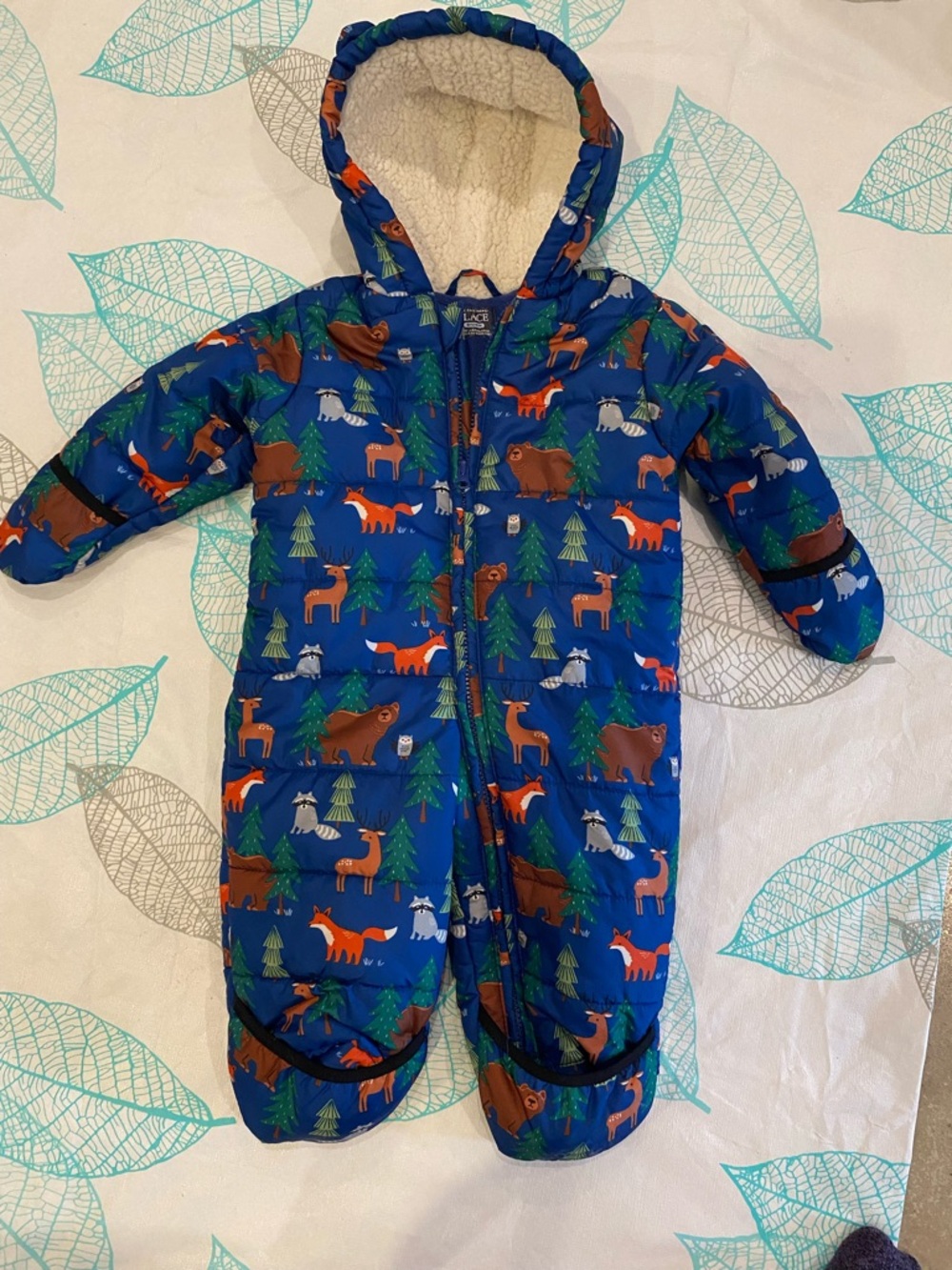 The Children's Place Royal Blue Snowsuit